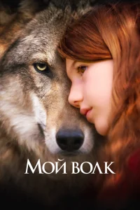Мой волк Мой волк